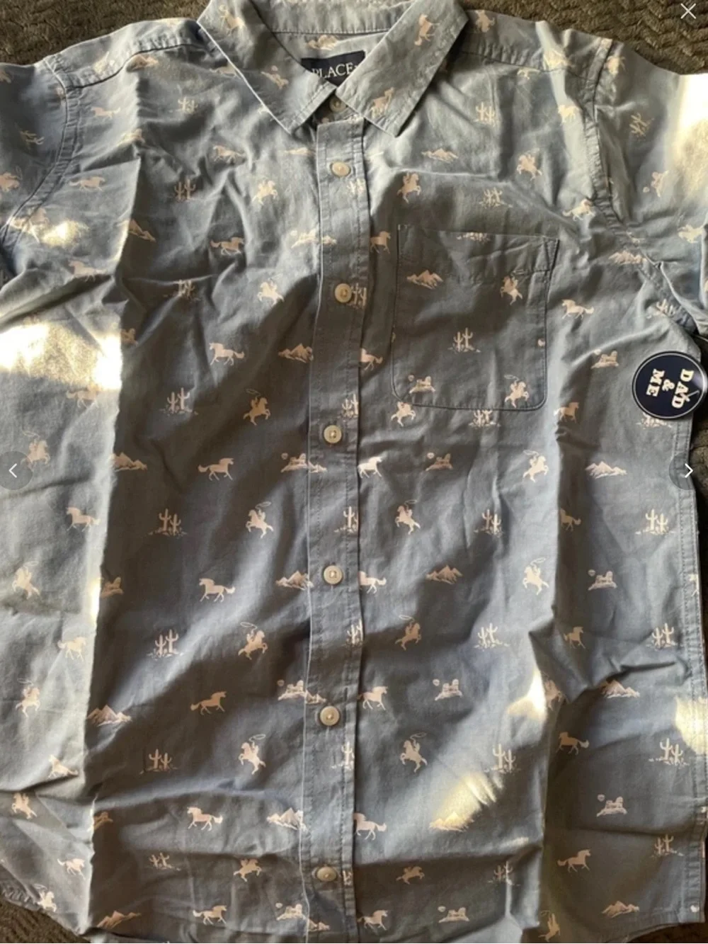 The Children's Place Light Blue Button-Down Shirt with Western Print